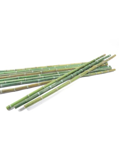 DECORAZIONE 51628 CANNA BAMBOO 2 METRI su TreG Ingrosso