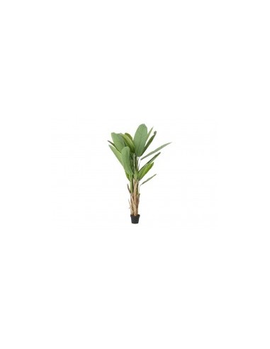 ALBERO POLIESTERE 90X90X190 VERDE su TreG Ingrosso