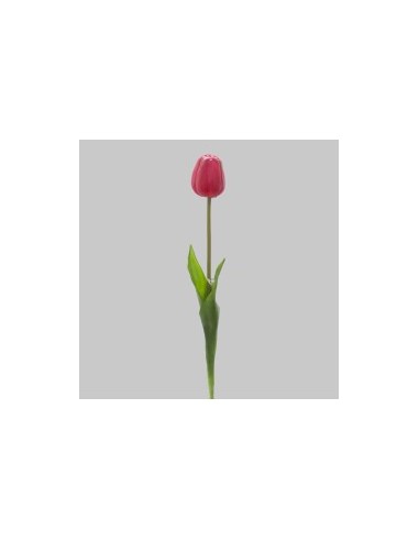 FIORE 15930054-16 TULIPANO ROSA su TreG Ingrosso