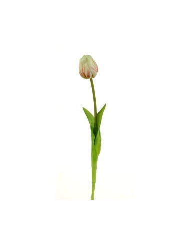 FIORE 15930054-54 TULIPANO BIANCO/FUCSIA su TreG Ingrosso