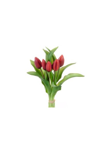 MAZZO 18120001-134 TULIPANO ROSSO/NERO 5 FIORI su TreG Ingrosso