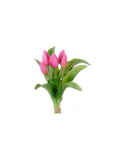 MAZZO 18120001-57 TULIPANO ROSA 5 FIORI su TreG Ingrosso