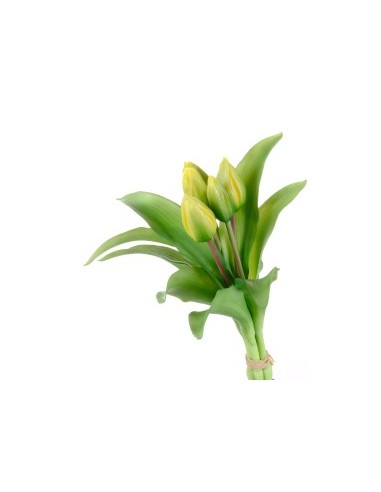 MAZZO 18120001-76 TULIPANO VERDE/GIALLO 5 FIORI su TreG Ingrosso