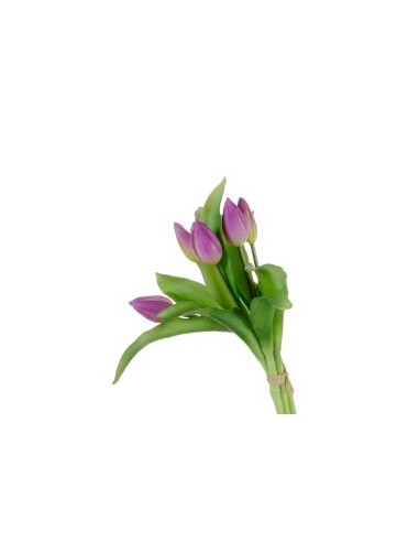 MAZZO 18120001-87 TULIPANO VIOLA 5 FIORI su TreG Ingrosso