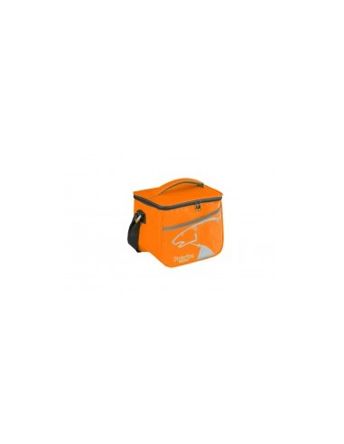 BORSA TERMICA F90104 7LT POLAR ICE