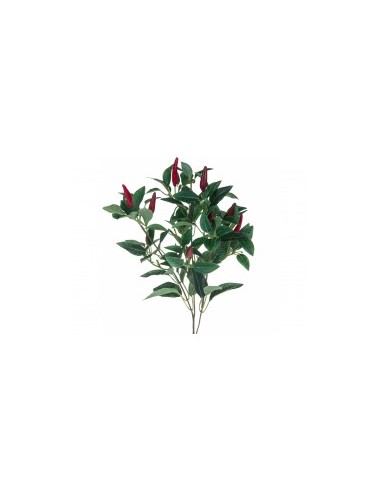 RAMO PEPERONCINO 60CM FV034 BIANCHI DINO su TreG Ingrosso