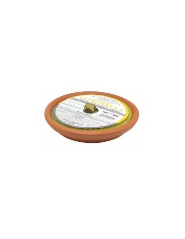 FIACCOLA PAD140OC TERRACOTTA CITRONELLA 15X3 su TreG Ingrosso