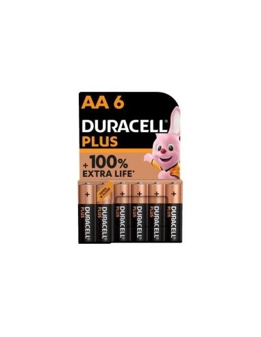 DURACELL BL 6 PILE STILO AA su TreG Ingrosso