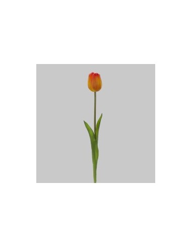 FIORE 15930054-14 TULIPANO ARANCIO su TreG Ingrosso