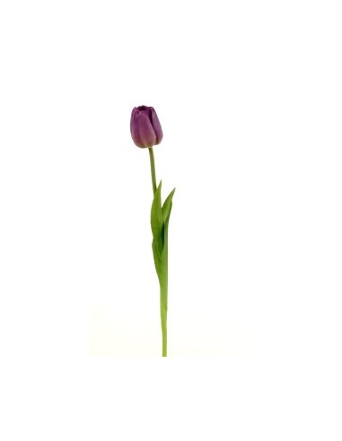 FIORE 15930054-87 TULIPANO VIOLA su TreG Ingrosso