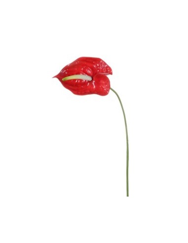 STELO 17390012-03 ANTHURIUM ROSSO 70CM