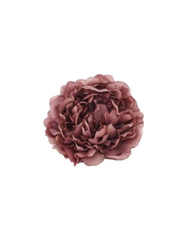 PEONIA 130295 VINACCIA 15CM PVC su TreG Ingrosso