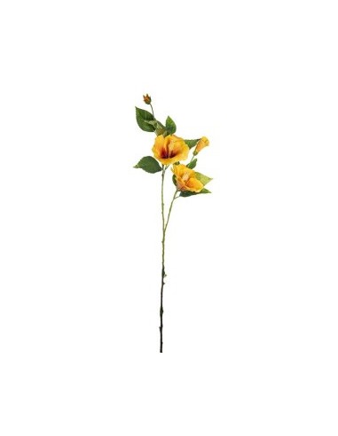 FIORE 1820000713 IBISCO GIALLO 107CM