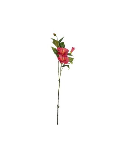 FIORE 1820000757 IBISCO ROSA 107CM