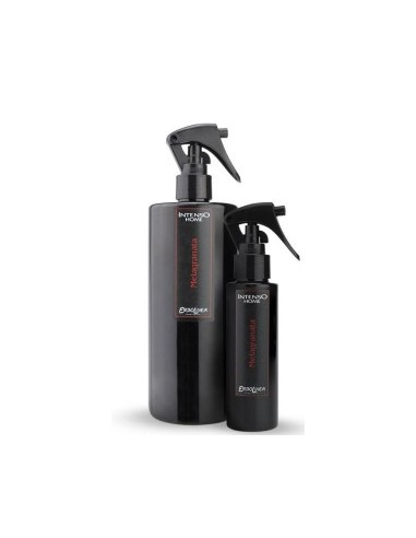 INTENSO PROF SPRAY 100ML MELOGRANO su TreG Ingrosso