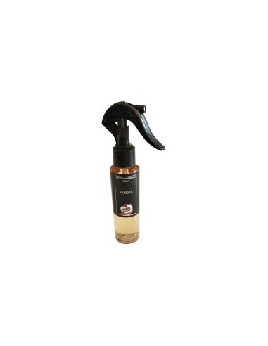 INTENSO PROF SPRAY 100ML VANIGLIA