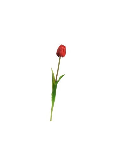 FIORE 18120005-03 TULIPANO ROSSO 45CM