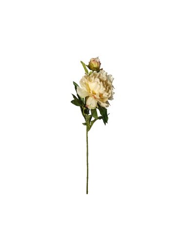 FIORE 30020012-19 PEONIA 50CM PESCA