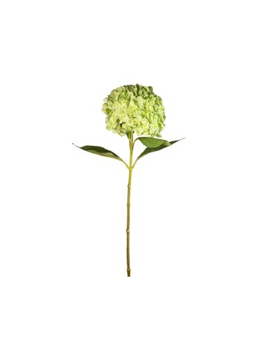 STELO 1821000602 HYDRANGEA 70CM VERDE CHIARO