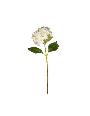 STELO 1821000636 HYDRANGEA 70CM BIANCO