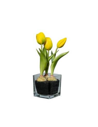 FIORE 1812001313 TULIPANO GIALLO 23CM CON VASO VETRO