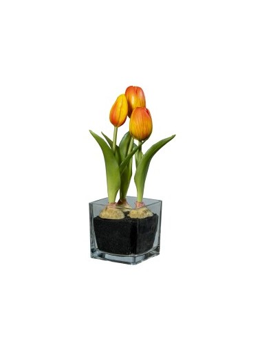 FIORE 1812001314 TULIPANO ARANCIO 23CM CON VASO VETRO