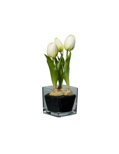 FIORE 1812001336 TULIPANO BIANCO 23CM CON VASO VETRO