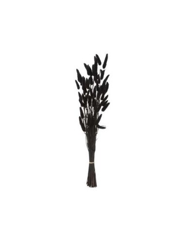 MAZZO FIORI SECCHI 189113D PENNISETO 58CM NERO