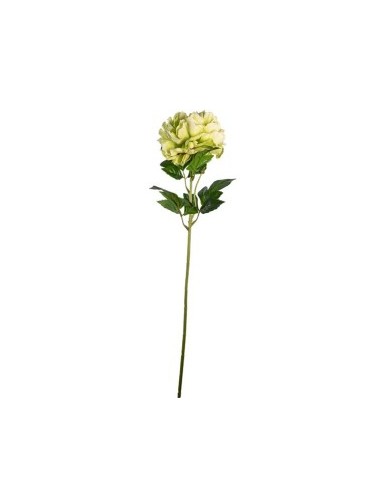 FIORE 1807002001 PEONIA VERDE 75CM