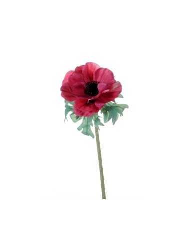 PIANTA 2700055-12 ANEMONE FUCSIA 46CM