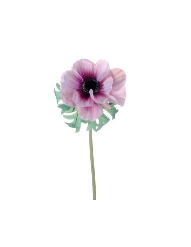 PIANTA 2700055-33 ANEMONE LILLA 46CM