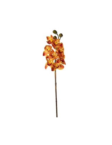 PIANTA 2700303-14 CIMBYDIUM ARANCIO 75CM 8 FIORI