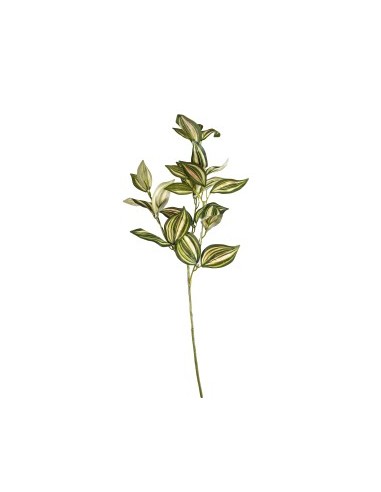 STELO 10350020-96 TRADESCANTIA 70CM 3 RAMI