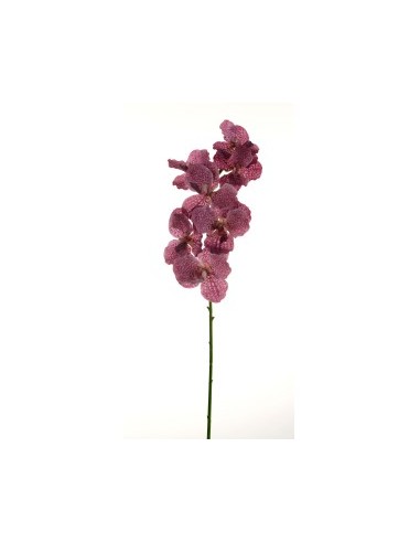 STELO 18090002-12 ORCHIDEA FUCSIA 80CM