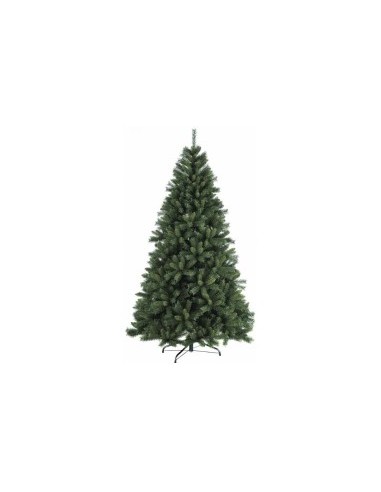 ALBERO LOGAN PINE 270CM su TreG Ingrosso