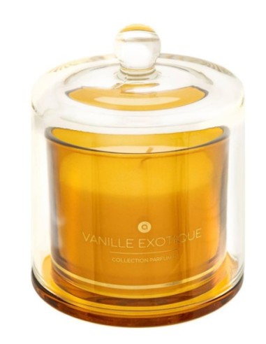 CANDELA 204723D VANIGLIA ESOTICA 240GR