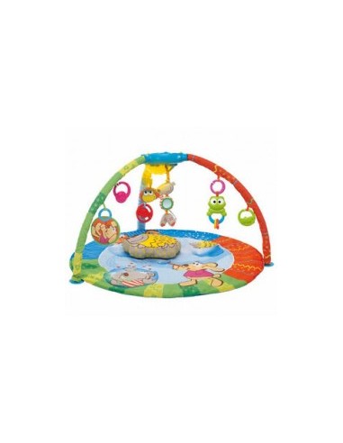 PALESTRINA NEONATO BUBBLE GYM CHICCO su TreG Ingrosso