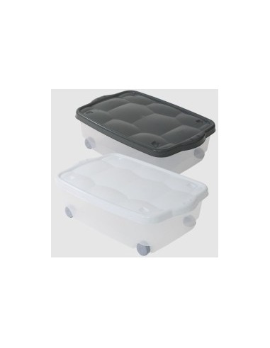 STORAGE BOX TARTARUGO COLORI ASSORTITI BELLI E FORTI su TreG Ingrosso