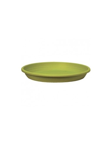 SOTTOVASO CILINDRO 17CM VERDE ANICE su TreG Ingrosso