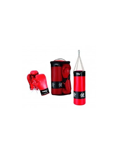 SET BOXING CON GUANTONI ASSORTITO 800240/801292 MANDELLI su TreG In...