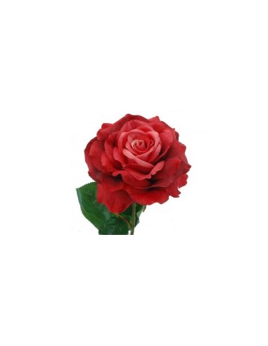 ROSA 1803-08 ROSSA 56CM su TreG Ingrosso