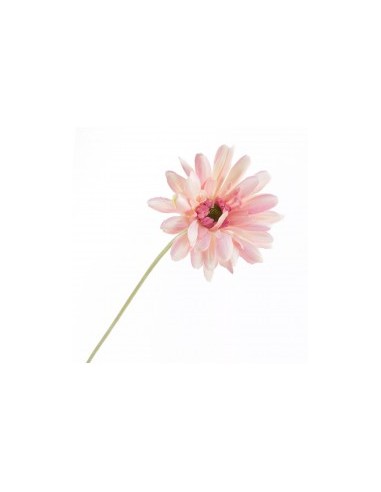 GERBERA 2292 ASSORT su TreG Ingrosso