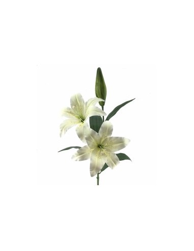 LILIUM 3079 su TreG Ingrosso