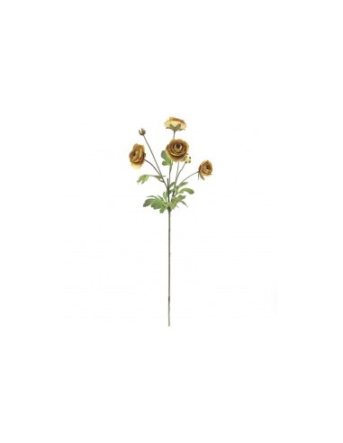 RANUNCULUS 2507 X4 ASSORT su TreG Ingrosso