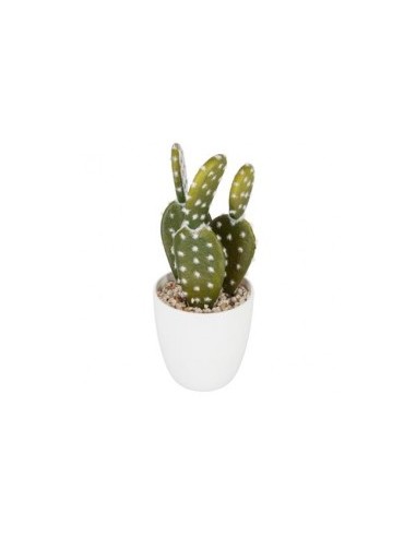 VASO 155600 CON CACTUS 18CM su TreG Ingrosso