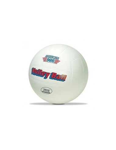 PALLONE VOLLEY 2304 AMERICA SGONFIO su TreG Ingrosso