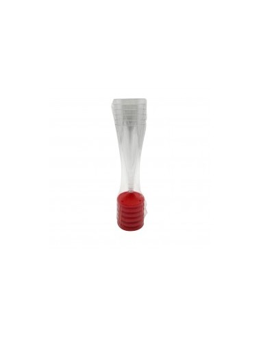 CONF 6 FLUTE PLASTICA BASE ROSSA su TreG Ingrosso