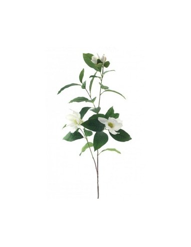 MAGNOLIE 6210 138CM su TreG Ingrosso