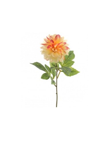 DAHLIA 9537 FALL EVER ASSORTITO su TreG Ingrosso