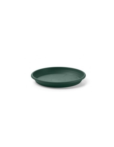 SOTTOVASO CILINDRO 17CM VERDE SCURO su TreG Ingrosso